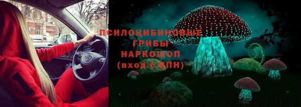 винт Саяногорск