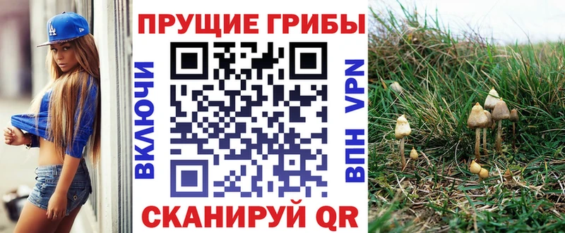 Купить  Собинка  Псилоцибиновые грибы ЛСД 